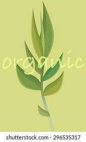 organic leaf green vector