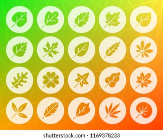 Organic Leaf icons set. Web sign kit of season foliage. Autumn Garden pictogram herb, clover, grass, sycamore. Simple organic leaf vector symbol. Icon shape carved from circle on colorful background