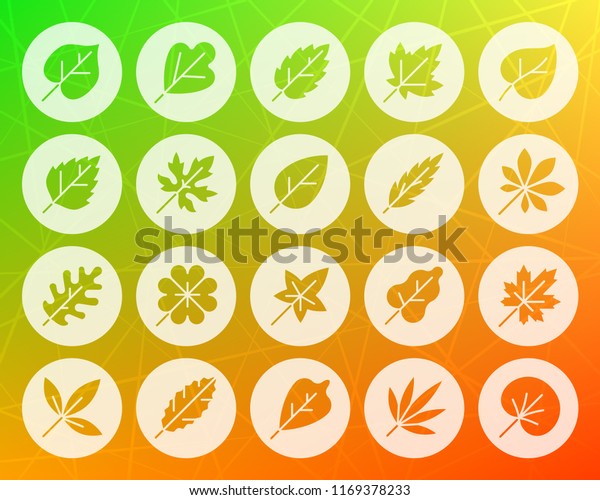 Organic Leaf icons set. Web sign kit of season\
foliage. Autumn Garden pictogram herb, clover, grass, sycamore.\
Simple organic leaf vector symbol. Icon shape carved from circle on\
colorful background