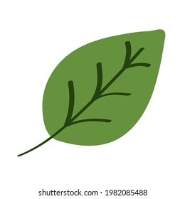 organic leaf nature isolated icon