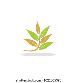 organic leaf plant vector logo