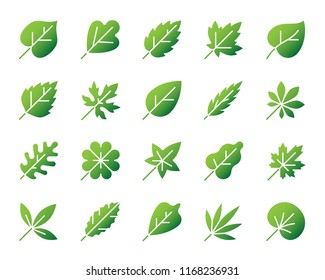 Organic Leaf silhouette icons set Isolated sign kit of season foliage Autumn Garden pictogram birch sprout, spring flora decoration Modern gradient simple contour symbol Organic Leaf vector icon shape