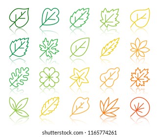 Organic Leaf thin line icons set. Outline vector monochrome web sign kit of season foliage. Autumn linear icon collection herb, environment. Simple leaf color contour symbol with reflection isolated
