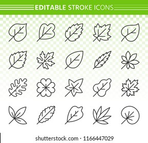 Organic Leaf thin line icons set. Outline web sign kit of season foliage. Autumn linear icon decorative clover, grass, botanical. Editable stroke without fill Organic Leaf simple contour vector symbol