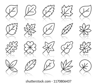 Organic Leaf thin line icons set. Outline web sign kit of season foliage. Autumn Garden linear icon palm, mint, herb flora. Simple organic leaf black contour symbol with reflection vector Illustration