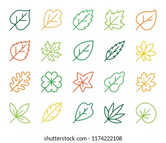 Organic Leaf thin line icons set. Outline monochrome sign kit of season foliage. Autumn Garden linear icon clover, birch, flora Simple organic leaf contour symbol isolated on white Vector Illustration