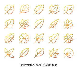 Organic Leaf thin line icons set. Outline vector web sign kit season foliage. Autumn Garden linear icon clover, maple, botanical, sycamore. Modern gradient simple organic leaf symbol isolated on white