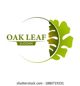 Organic leaves Circle vector. Oak Leaf logo design template