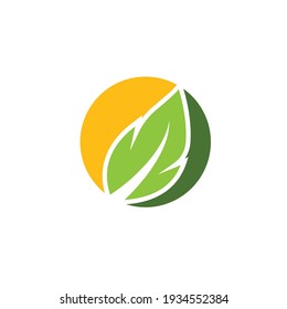 Vektorgrafik-Vektordesign-Web mit organischen Blättern