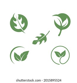 organic leaves icon vector design template web