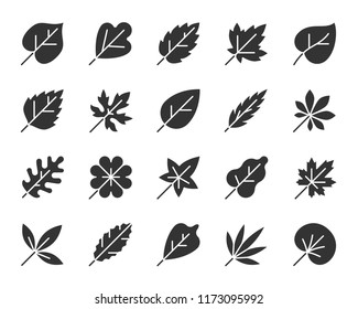 Organic leaves silhouette icons set. Sign kit of season foliage. Autumn garden pictograms includes birch, oak, palm, vine grapes. Simple organic leaf shapes black symbol isolated on white. Vector Icon