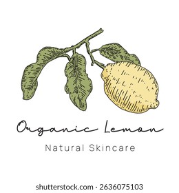 Organic Lemon Logo handgezeichnet Stil für Fresh Food Branding