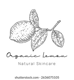 Organic Lemon Logo Hand Drawn Style for Fresh Food Branding