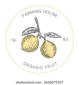 Estilo desenhado à mão do logotipo do limão orgânico para marca de comida fresca