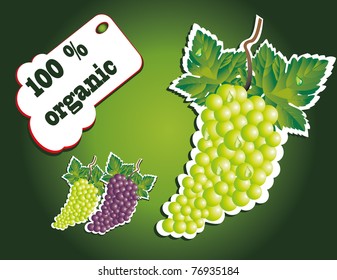 organic light grape