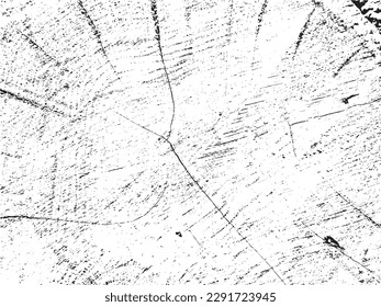 Organic linden tree cross-section grunge texture with cracks on monochrome sawn log background. Template for stencil overlays in raw, grunge style. Ideal for design elements