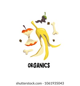 Organic litter bone, peel of banana and stub of apple. Rotten food. Flat vector illustration of waste recycling and trash sorting