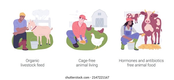 Organic Livestock Farming Isolated Cartoon Vector Illustrations Set. Organic Livestock Feed, Cage-free Animal Living, Hormones And Antibiotics Free Animal Food, Poultry Farm Vector Cartoon.