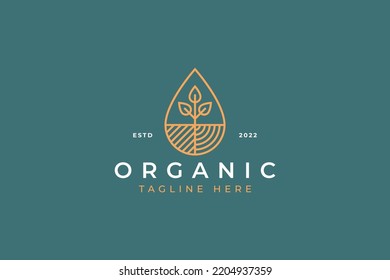 Organic Logo with Abstract Geometric Illustration Plant, Water Drop, Field for Food, Healthy Life and Agriculture Industry Brand Identity Concept.