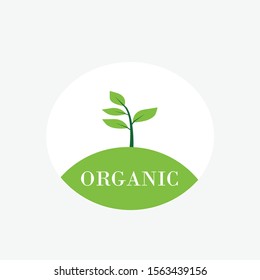organic logo design illustration vector 