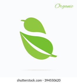 Organic logo green leaf design flat. Nature leaf logo, organic label eco, natural leaf plant, bio health label vector illustration