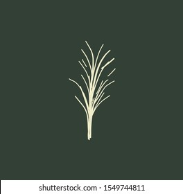 Organic logotype in minimal style. Botanic elements. Leaves icons. 