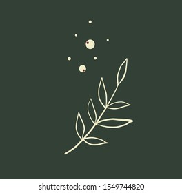 Organic logotype in minimal style. Botanic elements. Leaves icons. 