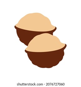 Organic macadamia, nutritional nuts, oil ingredients. Made in cartoon flat style. Vector illustration