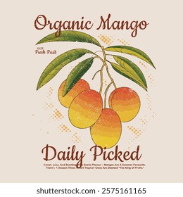 organic mango t shirt. Nature fruit club print design. Organic mango food artwork for for t-shirt. Fruit vintage t-shirt design. Fresh mango artwork. Organic fruit market. Mango fruit print. Nature