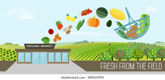 Organic market concept. Vector illustration of a store with a basket of organic vegetables and fruits. Delivery of natural products from the garden straight to the shop.