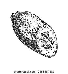 organic marrow vegetable hand drawn. healthy fresh, vegetarian vegan, nature plant organic marrow vegetable vector sketch. isolated black illustration