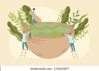 Organic medicine concept with doctors, herbal bio treatment and plants, naturopathy, homeopathy flat vector illustration. Natural bio herbal treatment and alternative organic medicine test by medics.