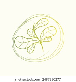 Organic minimalist summer and spring branches with leaves. Simple flower logo design element. Elegant floral twig decoration. Botanical simple. Plant icon. Vector Graphic.