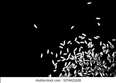Organic mixed thrown rice explosion. Rice texture for background. Silhouette of flakes, spread on the flat surface or table. Top view. Vector.