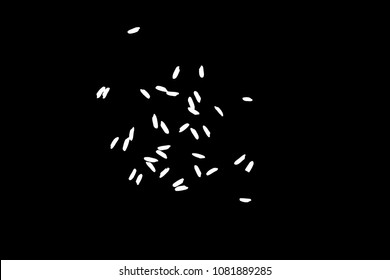 Organic mixed thrown rice explosion. Rice texture for background. Silhouette of flakes, spread on the flat surface or table. Top view. Vector.