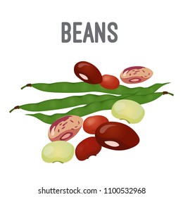 Organic natural beans of all species with high calorie contain