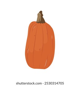 Organic natural dark orange pumpkin. Pumpkin season. Isolated illustration for card, postcard, cover. EPS 10