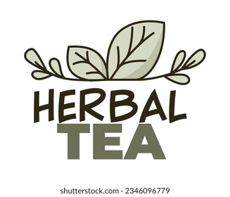 Organic and natural drink, isolated herbal tea with leaves, mint. Tasty cafe or restaurant beverage, logotype or banner, product package sticker. Assortment of refreshments. Vector in flat style