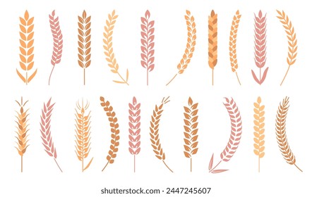 Organic and natural ecological wheat eat set. Vector isolated agriculture ingredient for baking and cooking. Nutrition harvested products from field, gluten and whole meal, grain of rye or oat