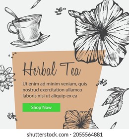 Organic and natural flavors of tasty herbal tea. Flowers and mint leaves, herbs and additions. Cafe or restaurant menu. Promotional banner, poster with discounts and sales. Vector in flat style
