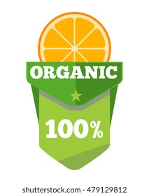 Organic natural fruit juice label template with orange. Vector illustration