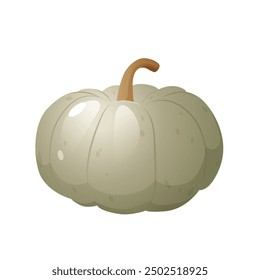 Organic natural green pumpkin isolated on white background.	