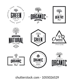 Organic natural and healthy farm fresh food retro emblem set. Olive tree vintage old logo badge isolated on white background. Premium quality green plant organic fashion logotype illustration design.