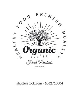 Organic natural and healthy farm fresh food retro emblem design. Vintage round olive tree logo isolated on white background. Premium quality fashion sun light rays badge logotype poster illustration.