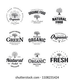 Organic natural and healthy farm fresh food retro emblem set. Olive tree vintage old logo badge isolated on white background. Premium quality green plant organic fashion logotype illustration design.