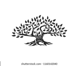 Organic natural and healthy olive tree silhouette logo isolated on white background. Modern vector green plant icon sign design artwork. Premium quality oil product logotype flat emblem illustration.