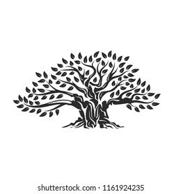 Organic natural and healthy olive tree silhouette logo isolated on white background. Modern vector green plant icon sign design artwork. Premium quality oil product logotype flat emblem illustration.