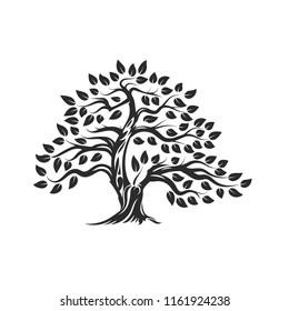 Organic natural and healthy olive tree silhouette logo isolated on white background. Modern vector green plant icon sign design artwork. Premium quality oil product logotype flat emblem illustration.