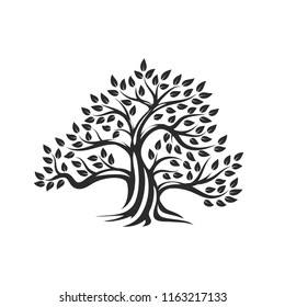 Organic natural and healthy olive tree silhouette logo isolated on white background. Modern vector green plant icon sign design artwork. Premium quality oil product logotype flat emblem illustration.