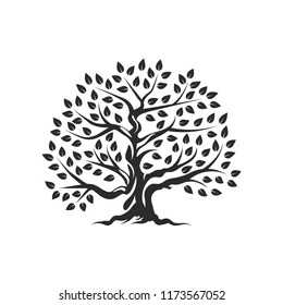 Organic natural and healthy olive tree silhouette logo isolated on white background. Modern vector green plant icon sign design artwork. Premium quality oil product logotype flat emblem illustration.